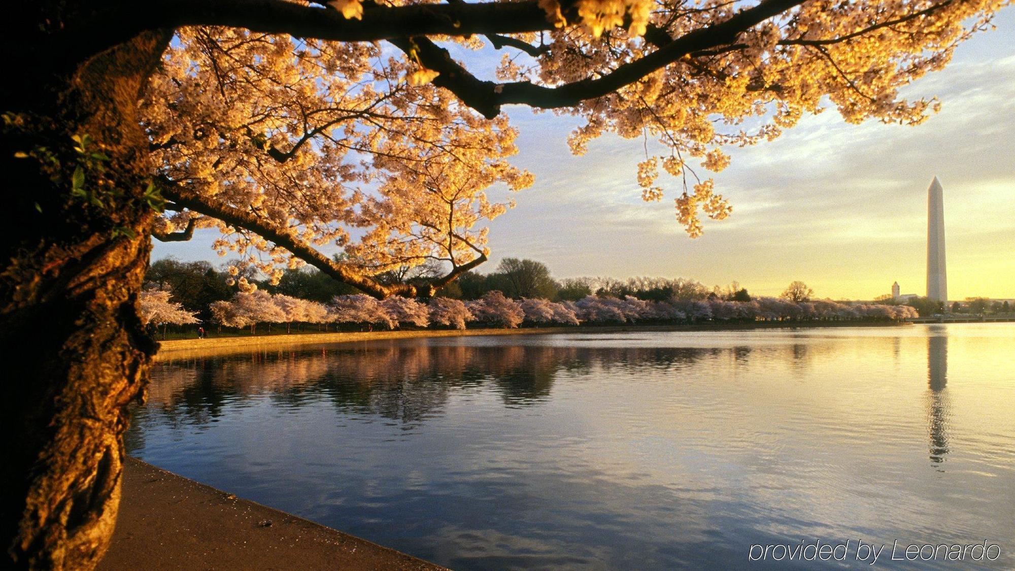 Crowne Plaza Crystal City-washington, D.c. By Ihg